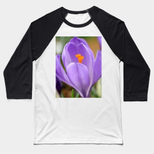 Crocus Baseball T-Shirt